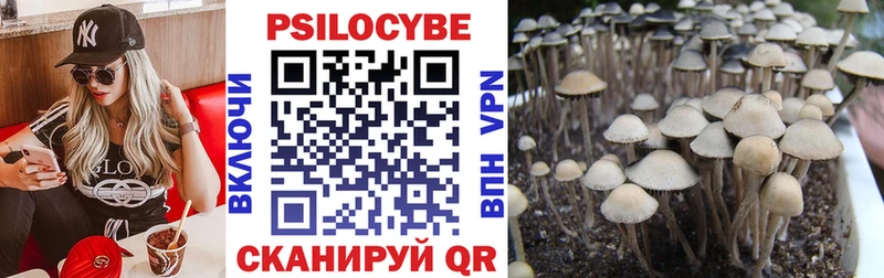 Псилоцибиновые грибы Magic Shrooms  Ноябрьск 